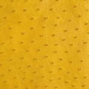Da Đà điểu màu Yellow