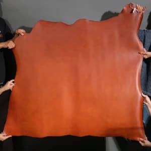 Da Buttero màu Chestnut 023