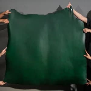 Da Buttero màu Green 11