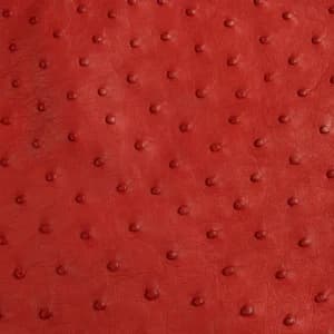 Da Đà điểu màu Flame Red