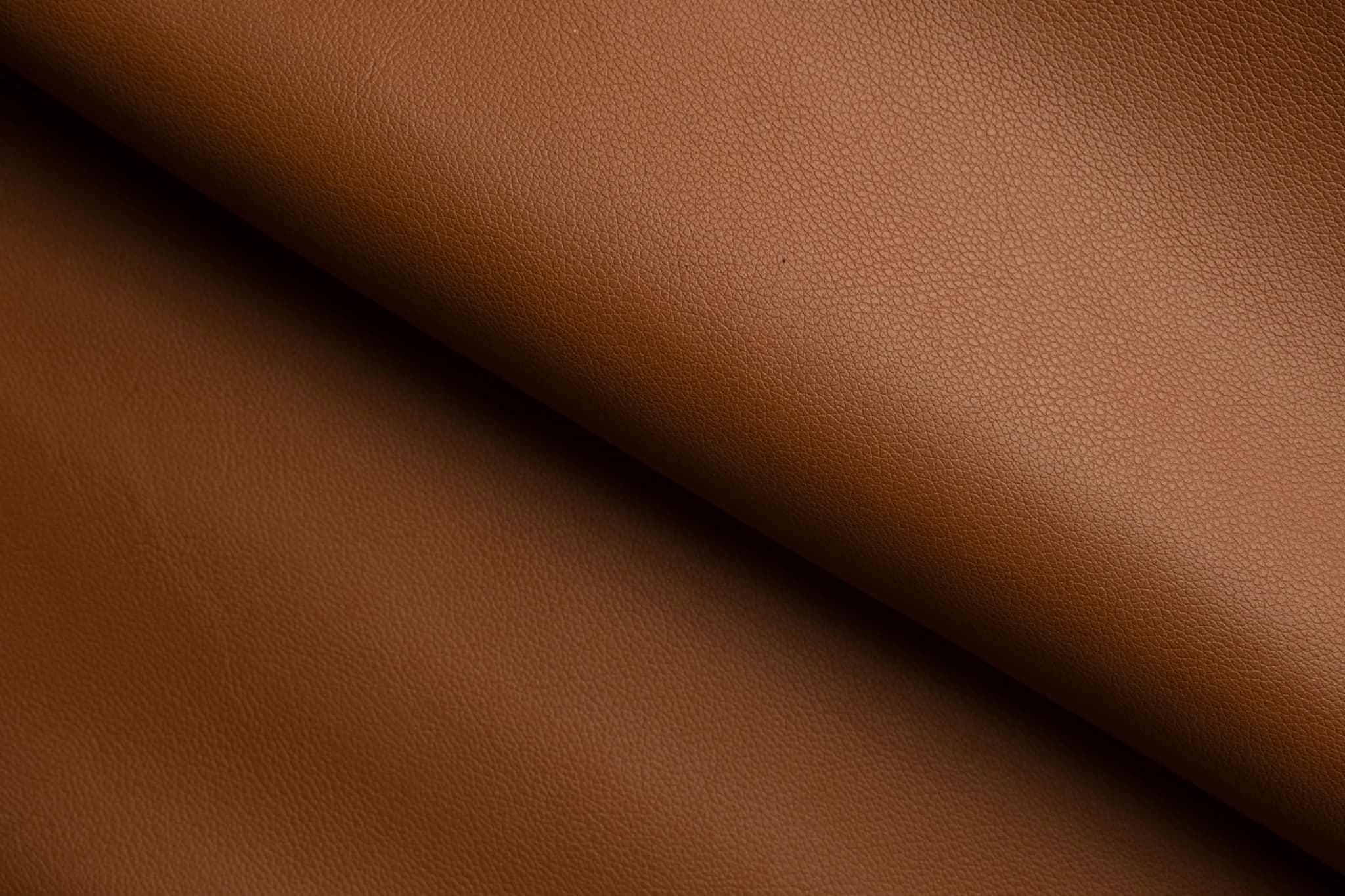 Evercolor