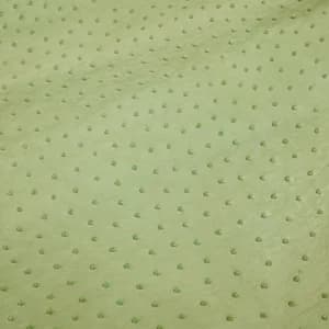 Da Đà điểu màu Linden Green