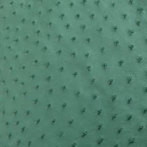 Da Đà điểu màu Turquoise