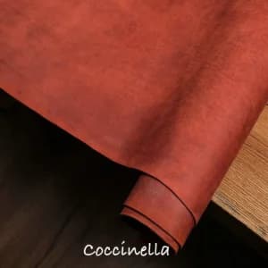 Da Pueblo màu Coccinella